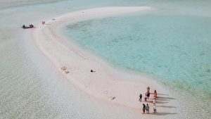 Taka Makassar (Waturandatrip.com) Komodo National Park Komodo Island Komodo Island Trip