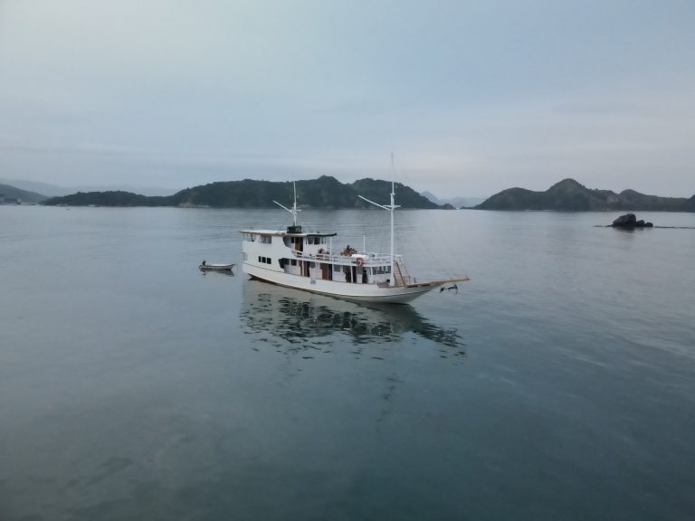 Komodo Island Trip