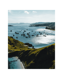 Padar Island landscape during sunrise on a Komodo tour