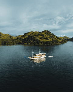 Komodo dragon tour boat trip