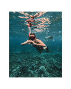 Komodo dragon tour snorkeling experience