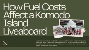 Why Komodo Island Tour Prices Are Rising in 2026 Fuel Costs, Global Oil Crisis and What It Means for Your Trip