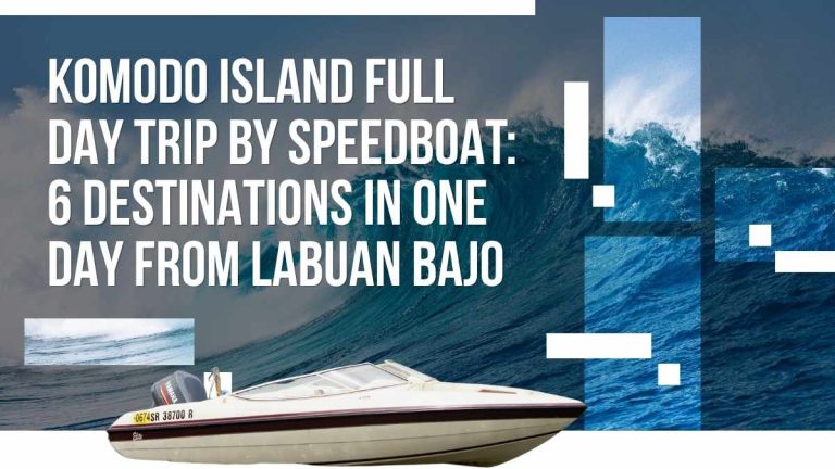 Why Komodo Island Tour Prices Are Rising in 2026 Fuel Costs, Global Oil Crisis and What It Means for Your Trip (6)