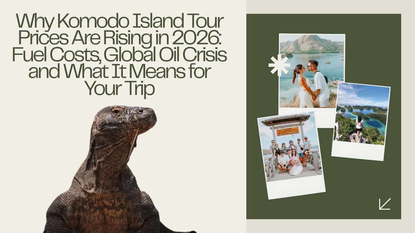 Why Komodo Island Tour Prices Are Rising in 2026 Fuel Costs, Global Oil Crisis and What It Means for Your Trip