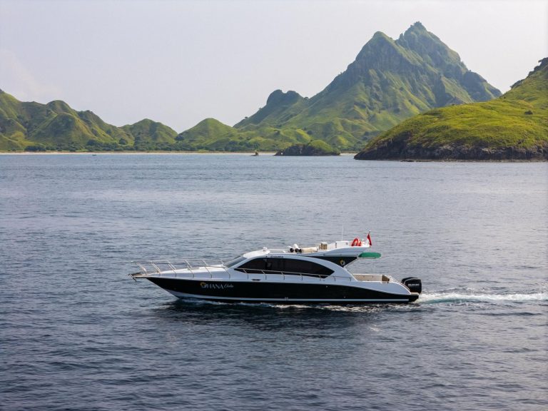 Komodo Island Full Day Trip by Speedboat