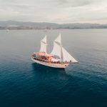 ELBARK CRUISE DRONE