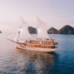 ELBARK CRUISE DRONE1