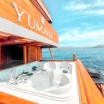 WhatsApp Image 2022-08-15 at 10.33.41 PM (1)